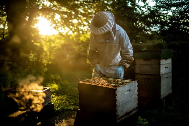 Transforming Beekeeping through gender action